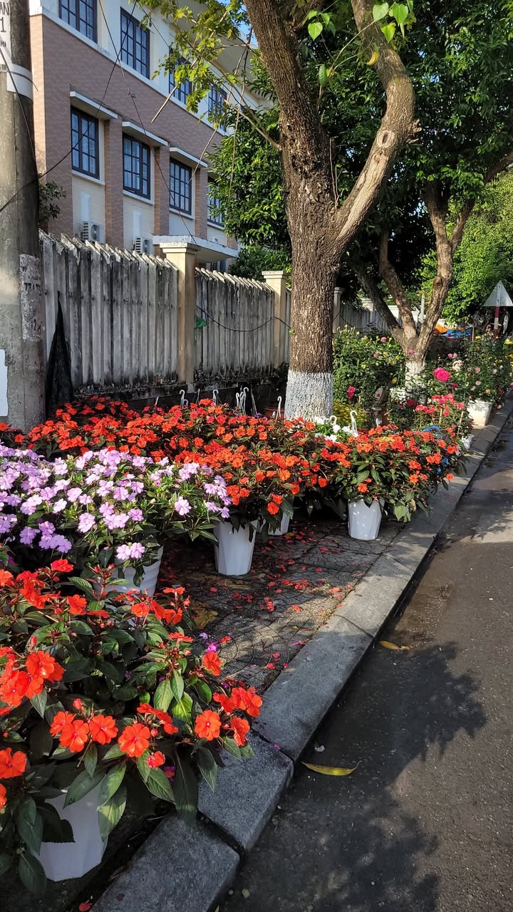 Đất nền Cẩm Kim Hội An 92m² - Hai mặt tiền, tiềm năng tăng giá!