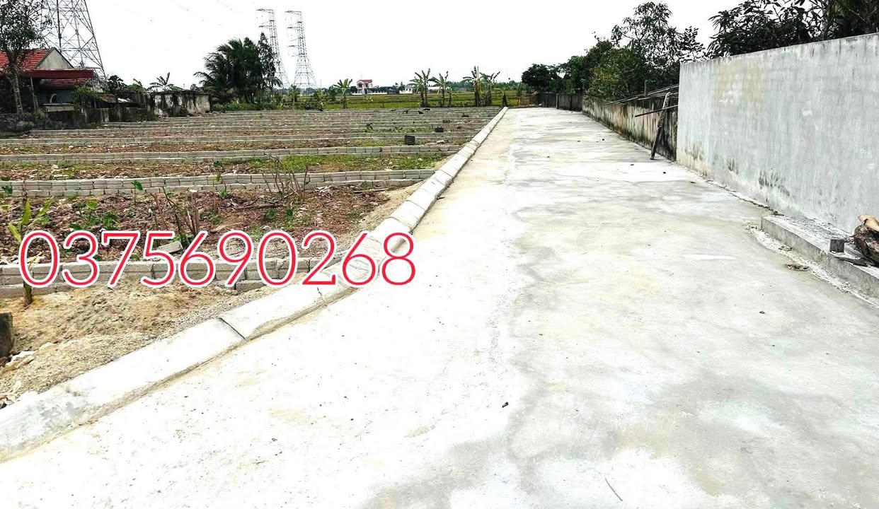 Bán đất nền 105m² sổ hồng sẵn tại Nga Sơn, Thanh Hóa - Giá chỉ 2xx triệu