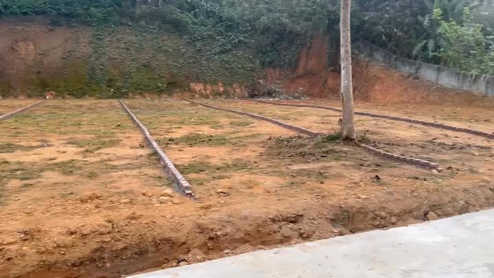 Đất nền Khu Bình Dân Thanh Sơn 280m² - Tiềm năng tăng giá vượt trội!