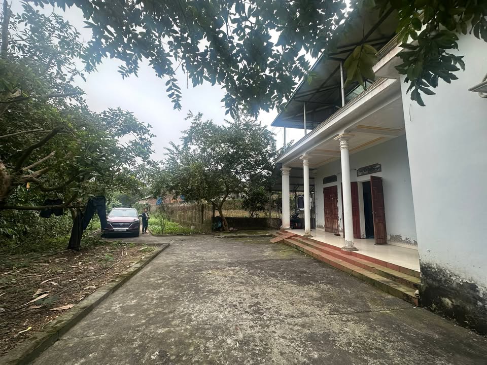 Đất Vườn Bình Xuyên Vĩnh Phúc 1ha - Nghỉ Dưỡng Lý Tưởng