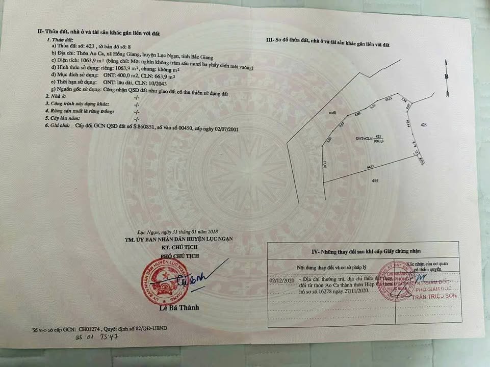 Đất nền Lục Ngạn 1063m² giá 8xx triệu - Tiềm năng tăng giá!