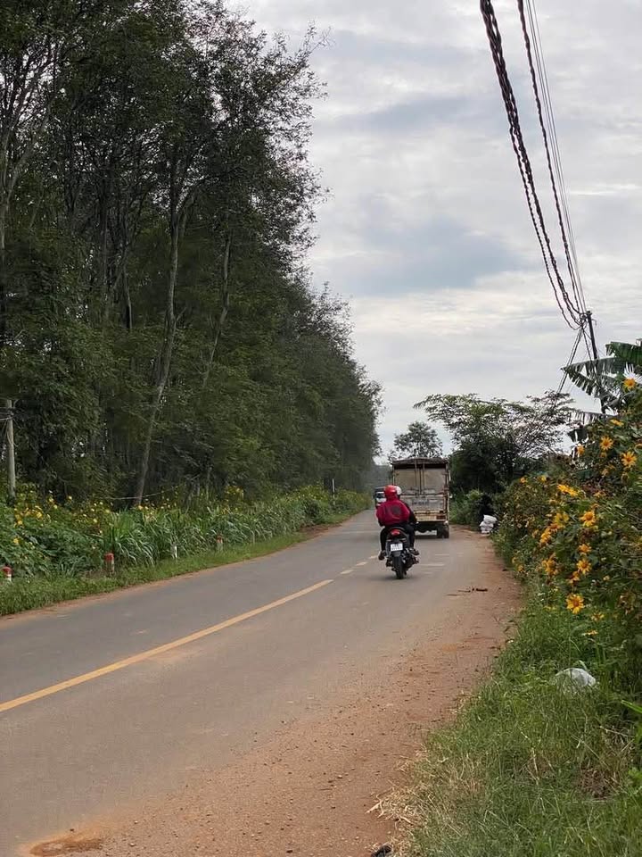 Đất nền Đơn Dương 323m² giá 1.8 tỷ - Đất thổ cư 100% sổ sẵn