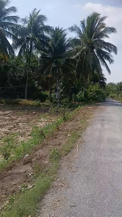 Đất nền Chợ Gạo 308.5m² giá 350 triệu - Sổ đỏ chính chủ, tiềm năng tăng giá!