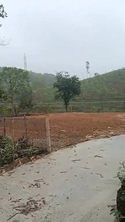 Đất nền Tân Cương TP. Thái Nguyên 150m² giá 530 triệu - Pháp lý rõ ràng!