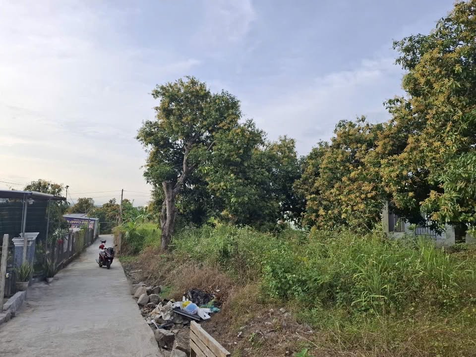 Đất nền Suối Hiệp Diên Khánh 96m² giá 450 triệu - Sổ đỏ chính chủ