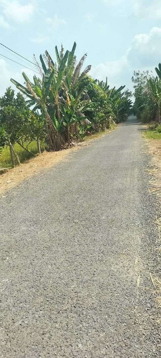 Bán Đất Vườn Xã Thanh Mỹ 17.500m² Giá 5.95 Tỷ - Sổ Hồng Chính Chủ