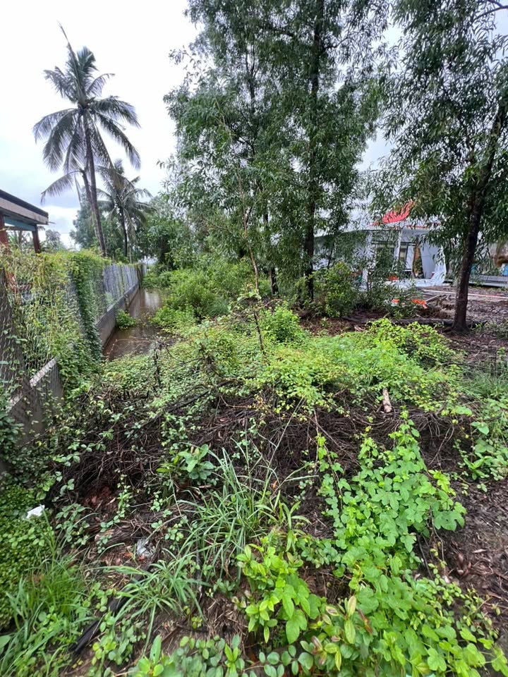 Đất nền U Minh, Cà Mau 780m² - Tiềm năng tăng giá vượt trội!