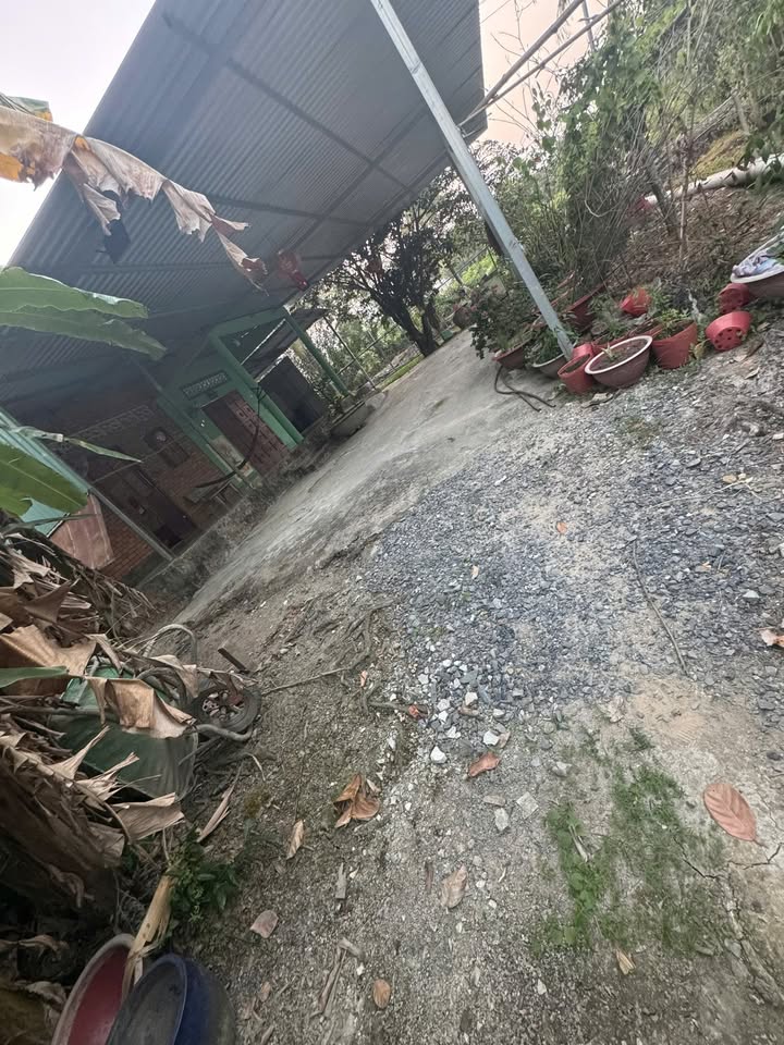 Đất nền Bến Lức, Long An 100m² chỉ 360 triệu - Sổ đỏ chính chủ!