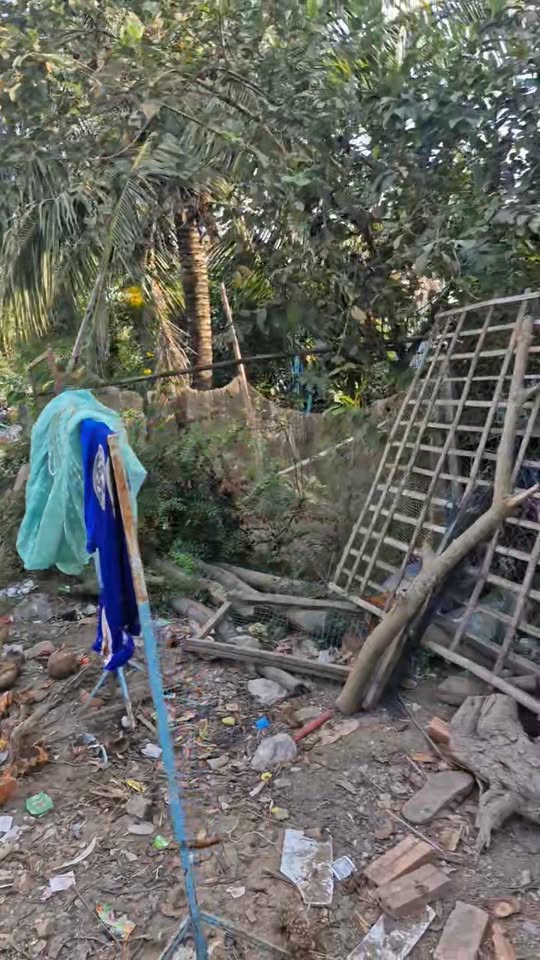 Cho Thuê Nhà Mặt Tiền Nội Bộ Hồng Ngự - 64m² Gần Trường An Thạnh 2