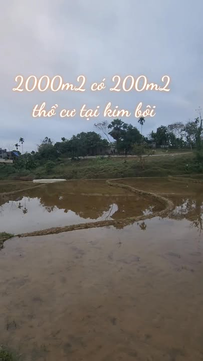 Bán Đất Vườn Kim Bôi 2000m² - View Đồng Thơm, Giá Đầu Tư 2x Tỷ