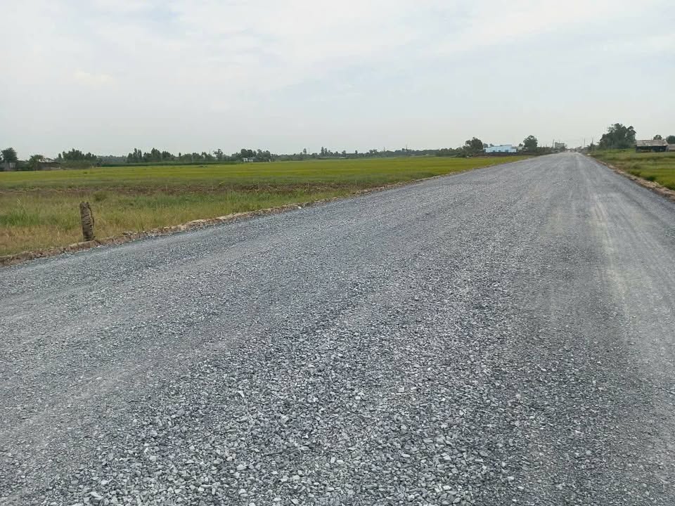 Đất nền Tỉnh lộ 864 Châu Thành 1450m² - Tiềm năng tăng giá vượt trội!