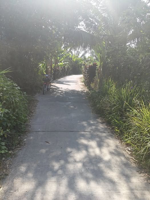 Đất nền Cai Lậy Tiền Giang 560m² giá 750 triệu - Đường ô tô tới nơi