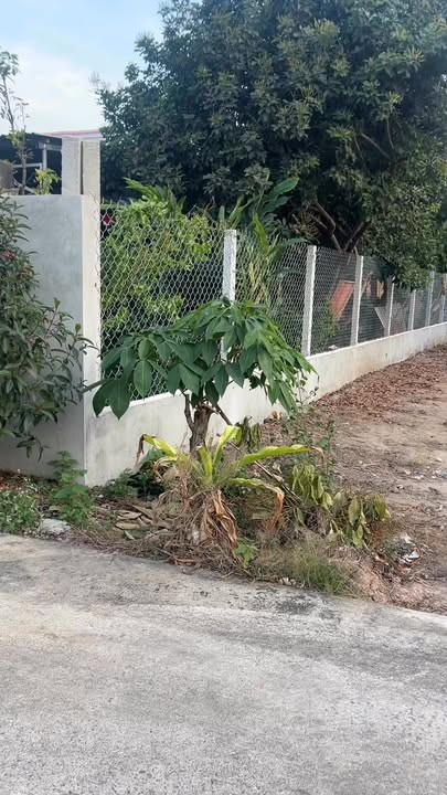 Đất nền Tân Hiệp, Phú Giáo 360m² – Đường ô tô, tiềm năng sinh lời!