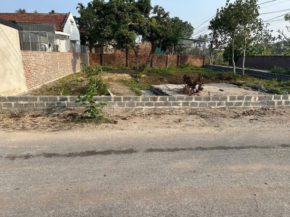 Đất nền Tân Học, Thái Thụy 100m² - Mặt đường kinh doanh, Sổ đỏ trao tay