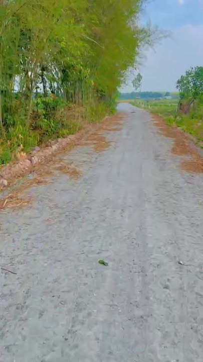 Đất nền Bến Cầu Tây Ninh 250m² giá 290 triệu - Sổ đỏ chính chủ