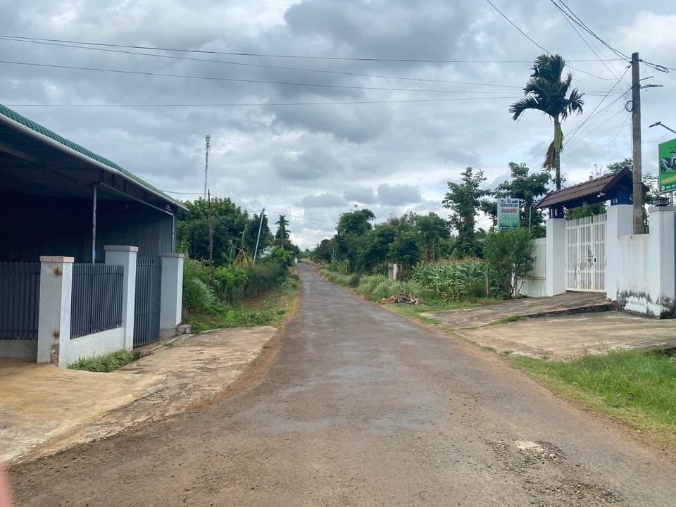 Đất nền Khánh Xuân BMT 264m² giá 1.45 tỷ - Sổ đỏ chính chủ!