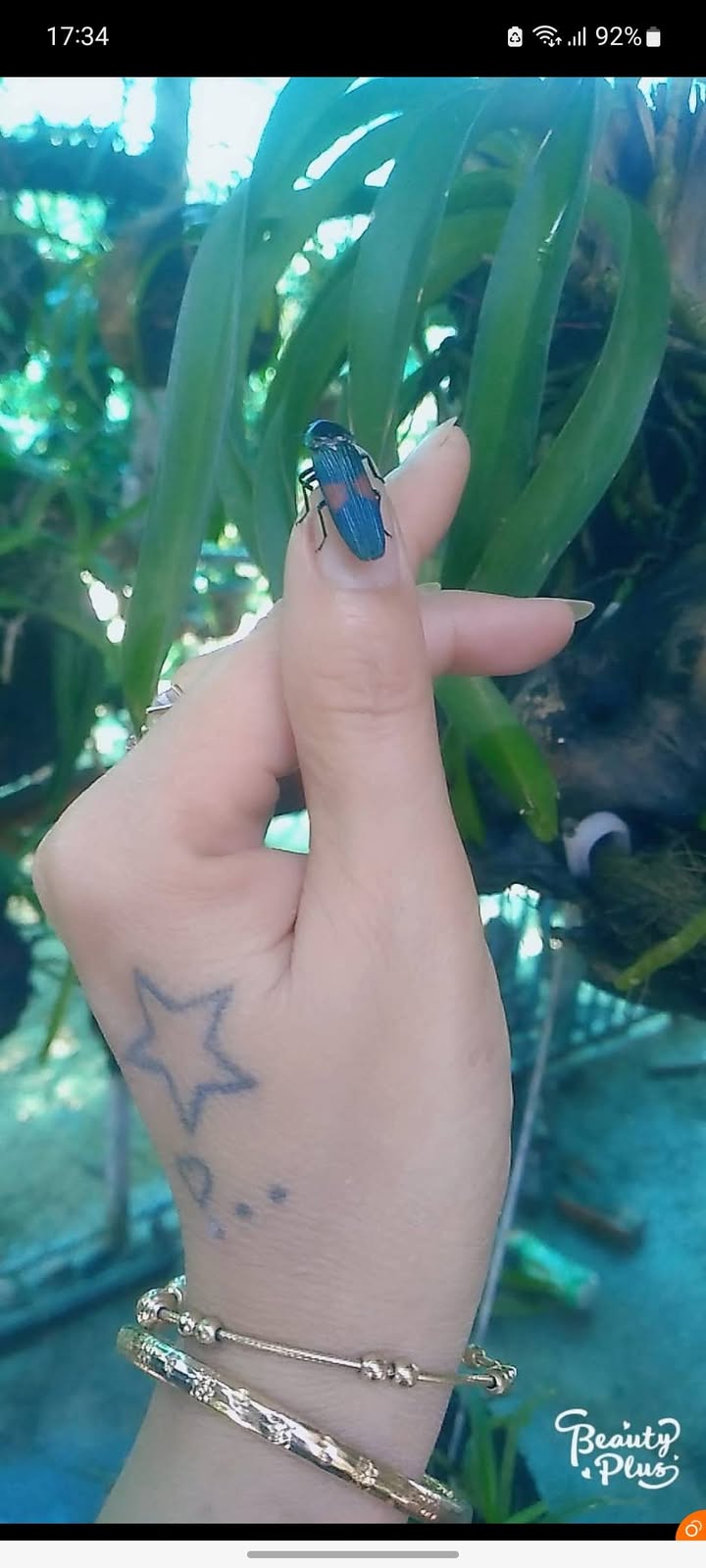 Bán Đất Mặt Tiền Ngô Đức Tốn, Quận 7 - 936m² QH Thổ Cư