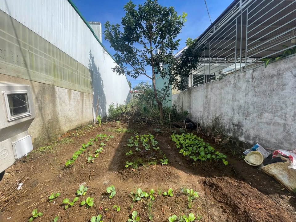 Đất nền Bảo Lộc 112m² Hẻm Yết Kiêu - Sổ đỏ chính chủ, thổ cư 100%