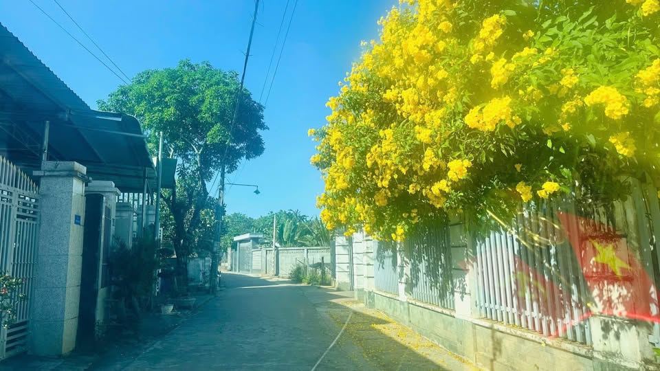 Đất nền Tân Đồng Đồng Xoài 200m² giá 1.28 tỷ - Sổ đỏ chính chủ!