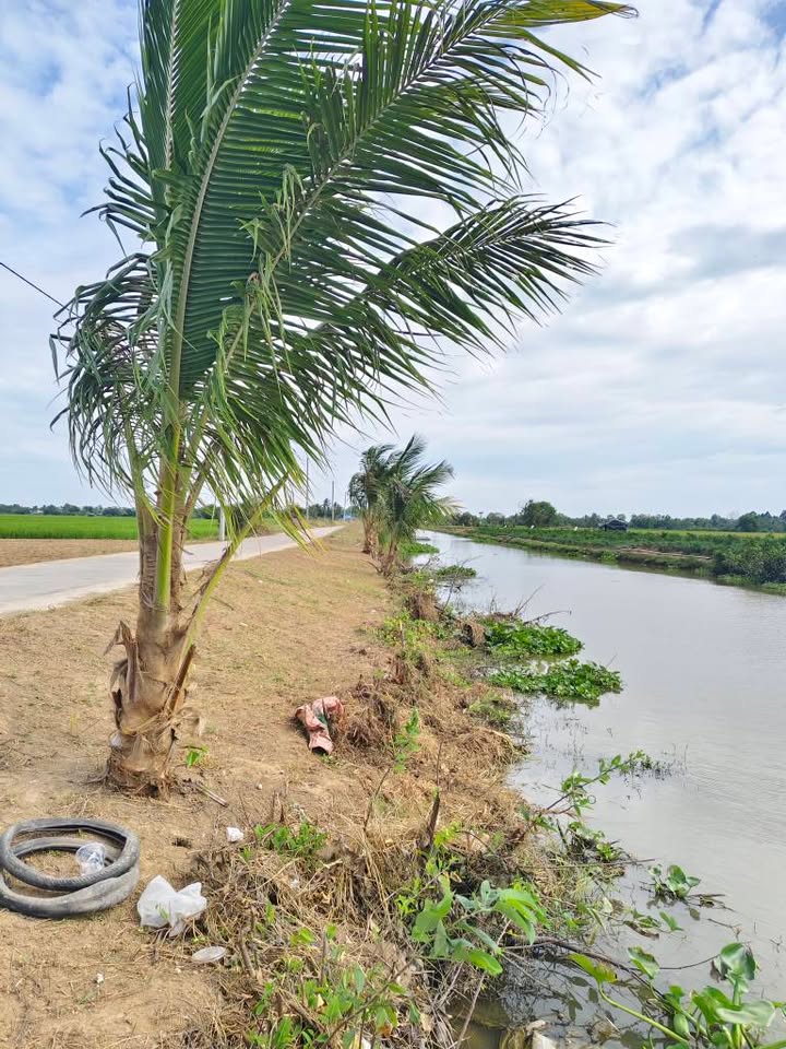 Đất nền Mỹ Xuyên Sóc Trăng 1000m² giá 520 triệu - Đường ô tô tới đất