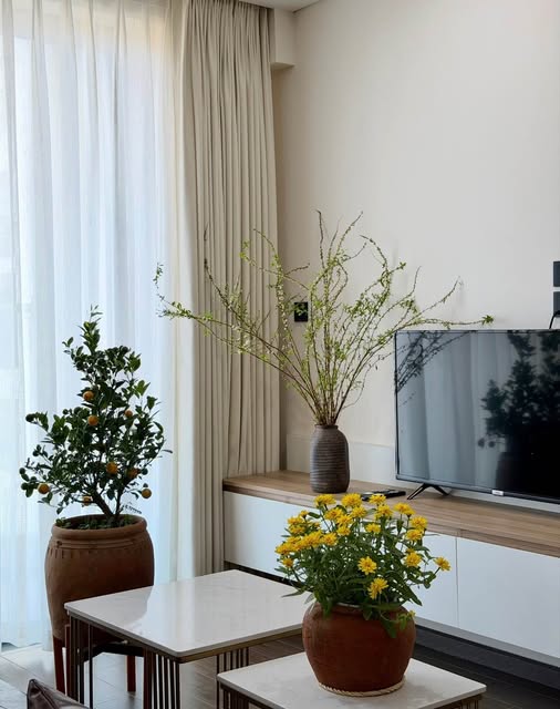 Căn hộ Apec Phú Yên Tuy Hoà 21m² - Full nội thất, view biển!