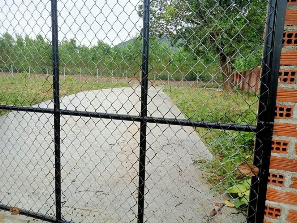 Bán Gấp Đất Vàng 1400m² Tại Bình Tường, Tây Sơn - Sổ Thổ Cư Sẵn Sàng