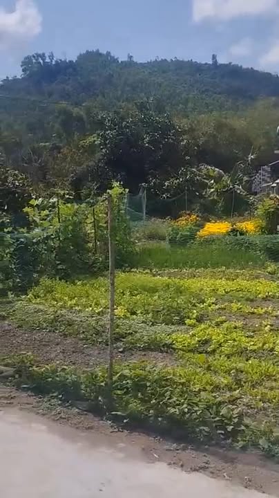 Đất nền Bình Định 660.7m² - Sổ đỏ tách sổ, giá chỉ 1.x tỷ