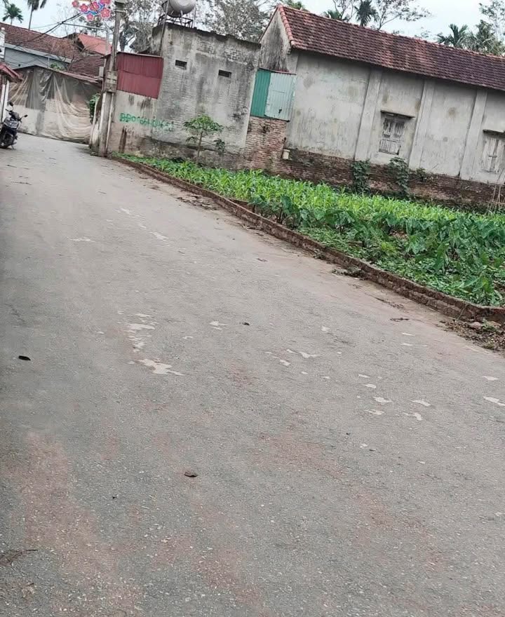 Đất nền Yên Lạc Vĩnh Phúc 108m² - Đường to ô tô, tiềm năng sinh lời!