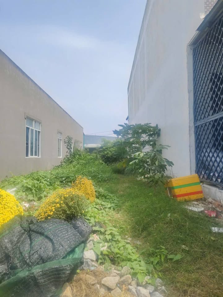 Đất nền TP Sóc Trăng 110m² giá 1.25 tỷ - Sổ đỏ chính chủ