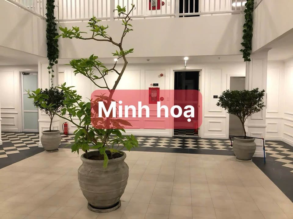 Cho thuê nhà mặt tiền 300m² kinh doanh/văn phòng tại Hải Châu, Đà Nẵng - 80 triệu/tháng