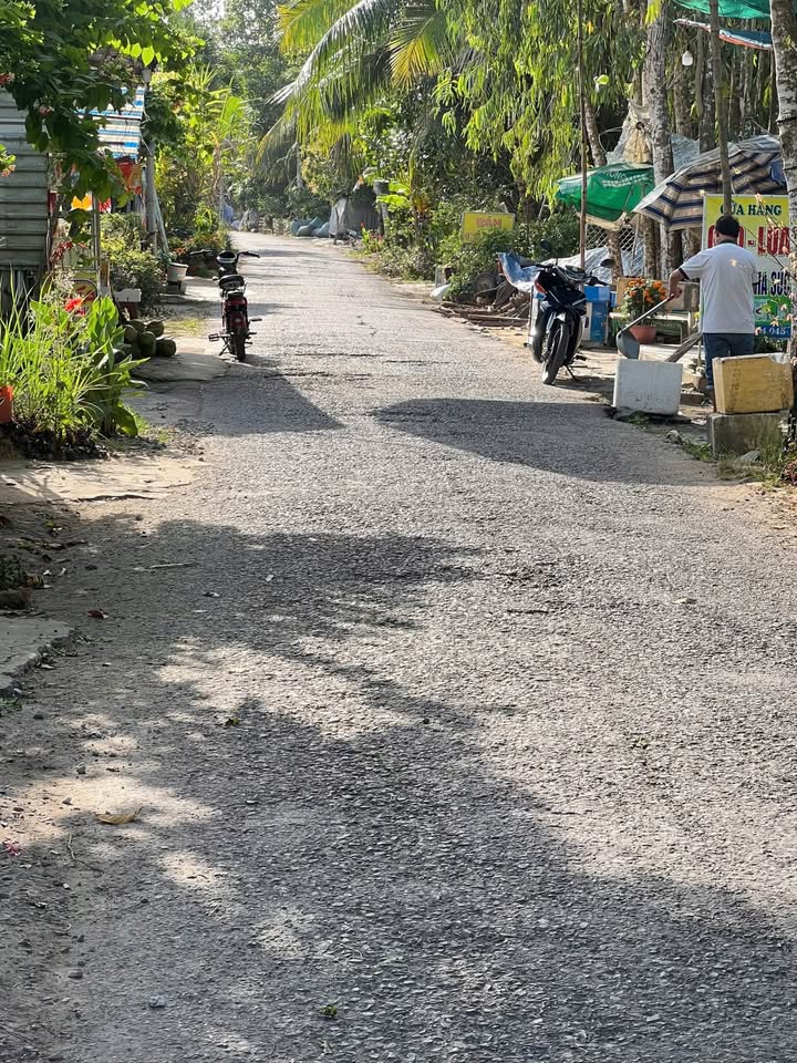 Bán Gấp 4000m² Đất Vườn Trồng Mít Thái Vĩnh Long - Giá Tốt