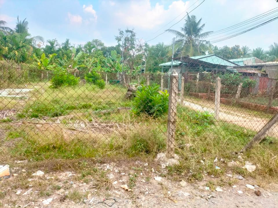 Đất nền Củ Chi 230m² Đường Vành Đai 3 - Pháp lý rõ ràng!