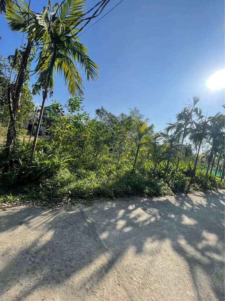 Đất Thổ Cư Phú Lộc 108m² - Sổ Hồng Sẵn Sàng - Giá Đầu Tư 2xx Triệu