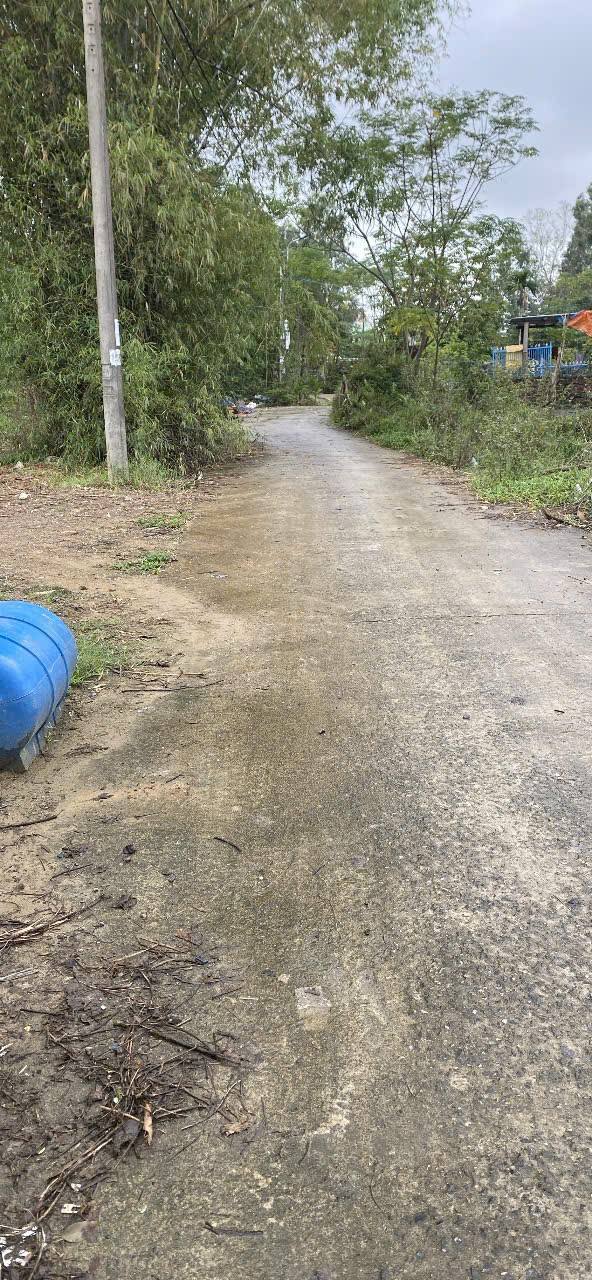 Đất nền Nam Sơn Hòa Tiến 100m² giá 970 triệu - Tiềm năng tăng giá!