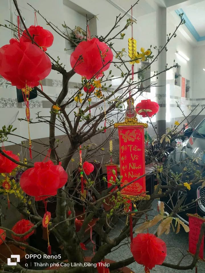 Bán nhà mặt tiền Quốc lộ 30 Cao Lãnh 41m² - Vị trí vàng kinh doanh ngay