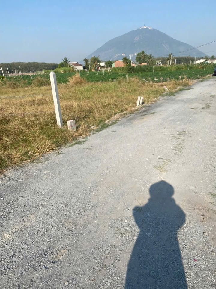 Đất vườn Dương Minh Châu 1000m² chỉ 379 triệu - Nghỉ dưỡng lý tưởng!