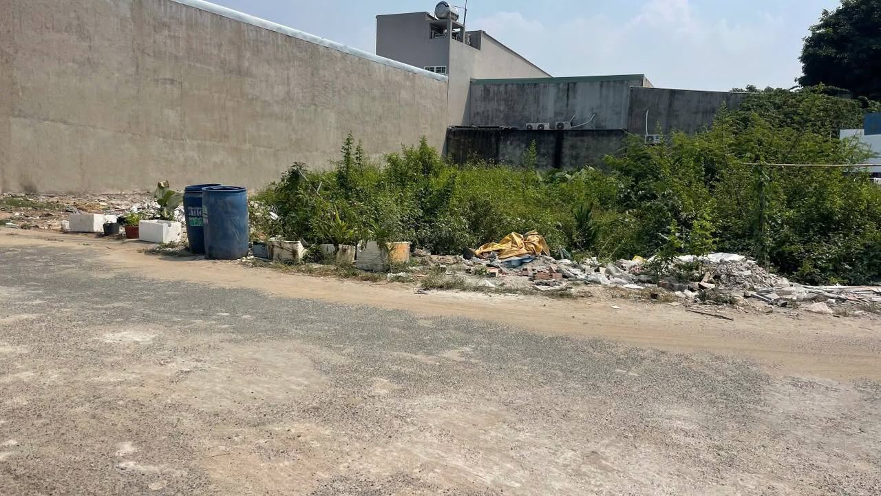 Đất Nền Mặt Tiền 15A3 Tân Đức Long An - 250m² Thổ Cư, Sẵn Sổ