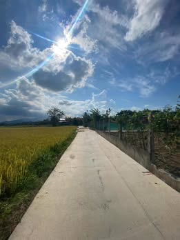 Đất nền Hòa Vang, Đà Nẵng 150m² chỉ 920 triệu - Tiềm năng tăng giá!