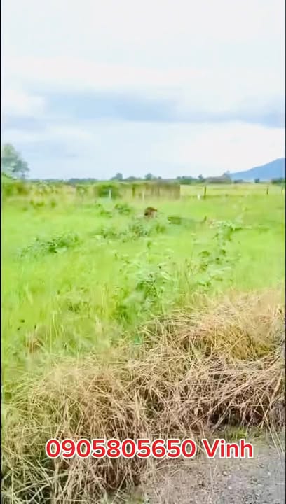 Đất nền Ninh Hòa 417.1m² 900 triệu - Sổ đỏ chính chủ!