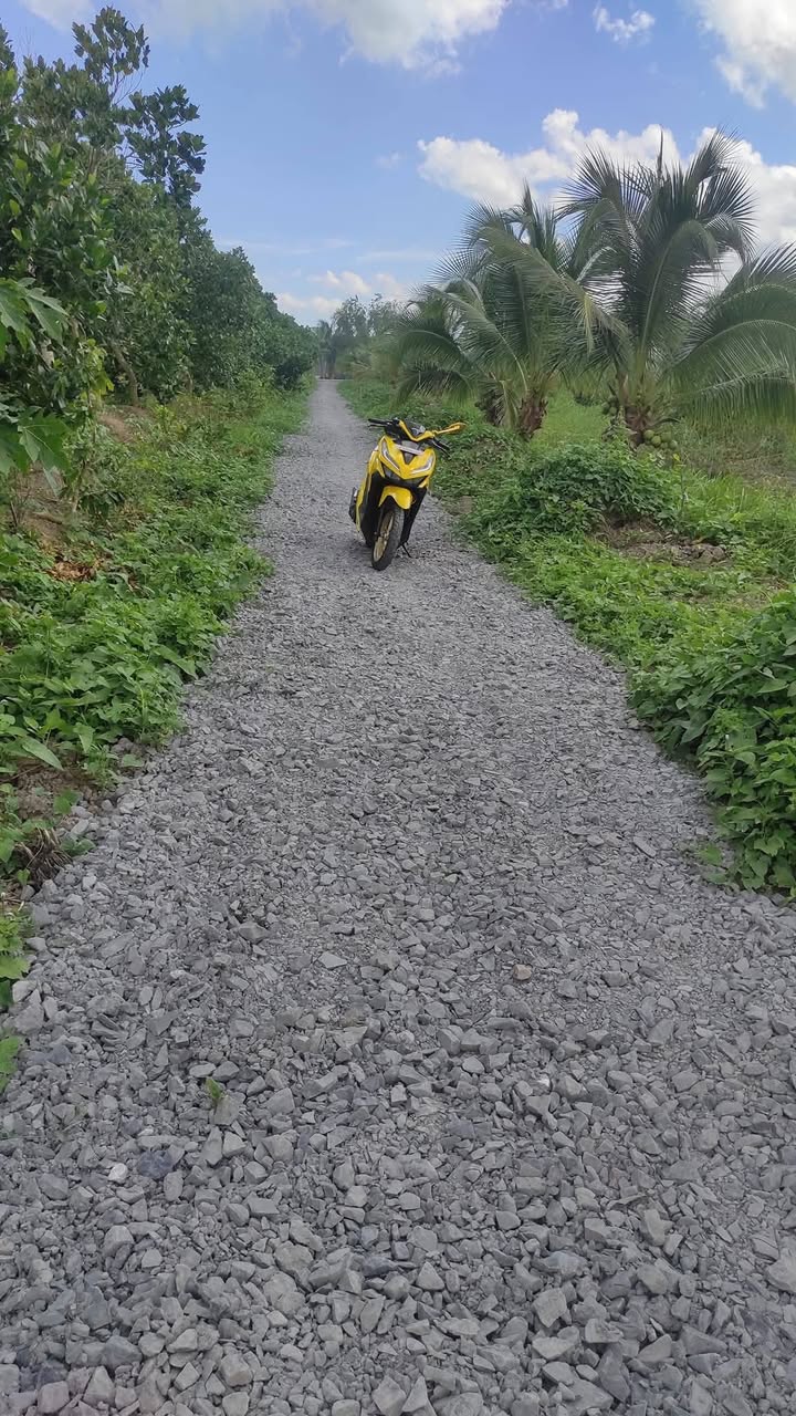 Đất nền Cai Lậy Tiền Giang 467m² giá 600 triệu - Sổ đỏ chính chủ