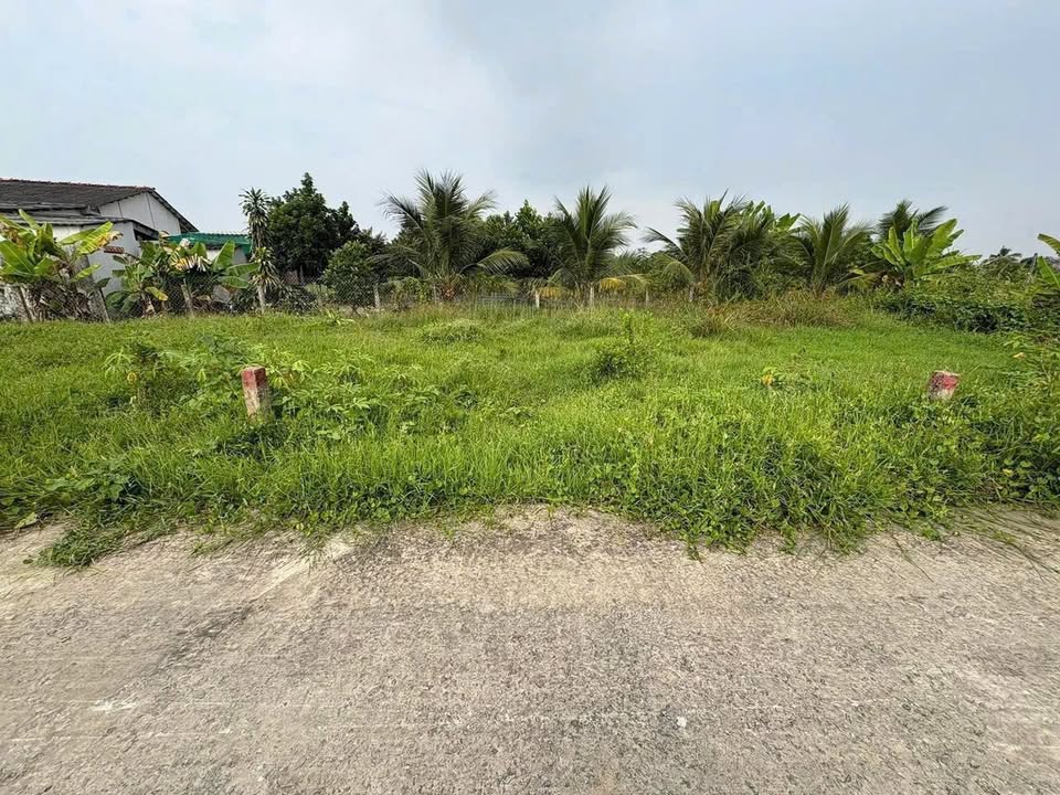 Đất nền 54m² sổ hồng tại Tân Trụ, Long An - Giá 239 triệu