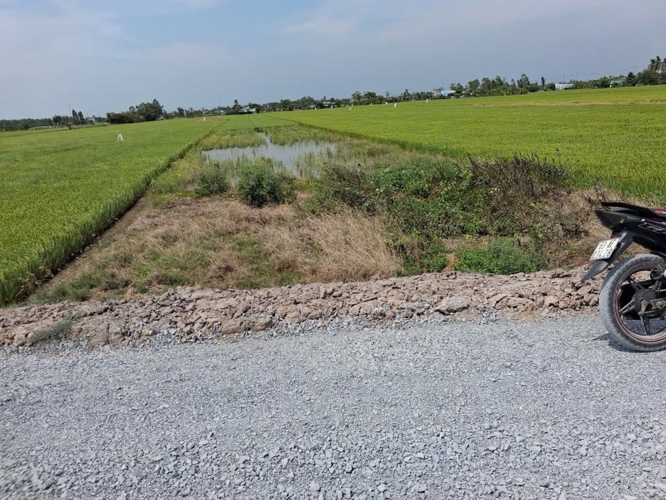 Đất mặt tiền Tỉnh lộ 864 Châu Thành 1159m² giá 1.5 tỷ đầu tư sinh lời