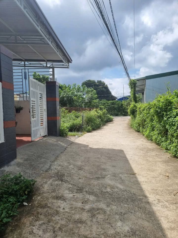 Đất nền Yết Kiêu Bảo Lộc 175m² - Đất thổ cư 100%!