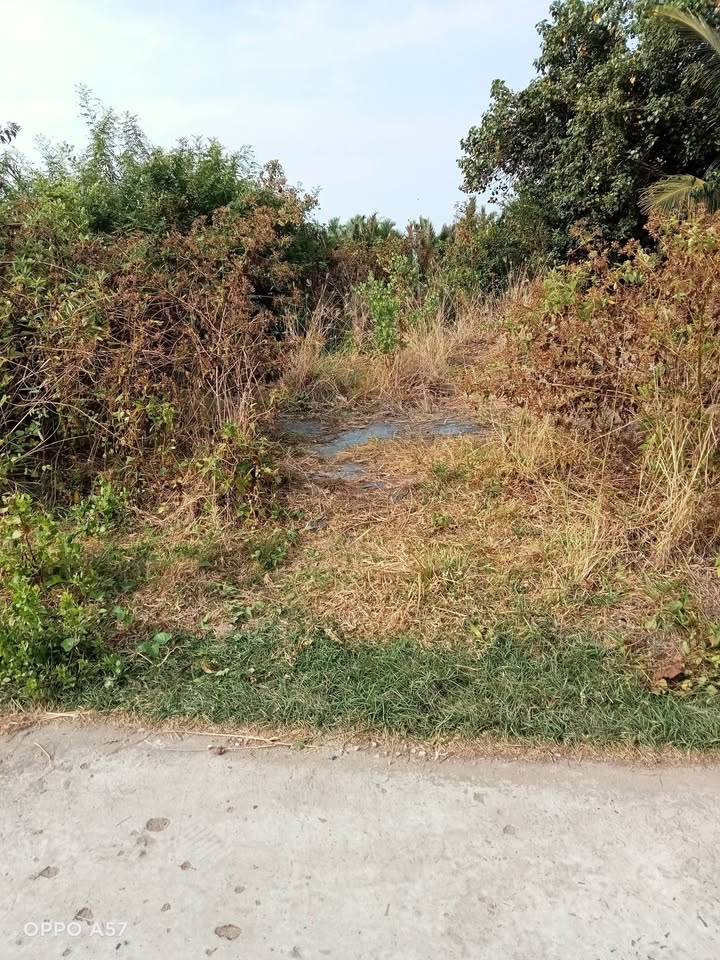 Đất nền Bình Đại Bến Tre - 150m² Sổ hồng riêng, sẵn sàng xây nhà