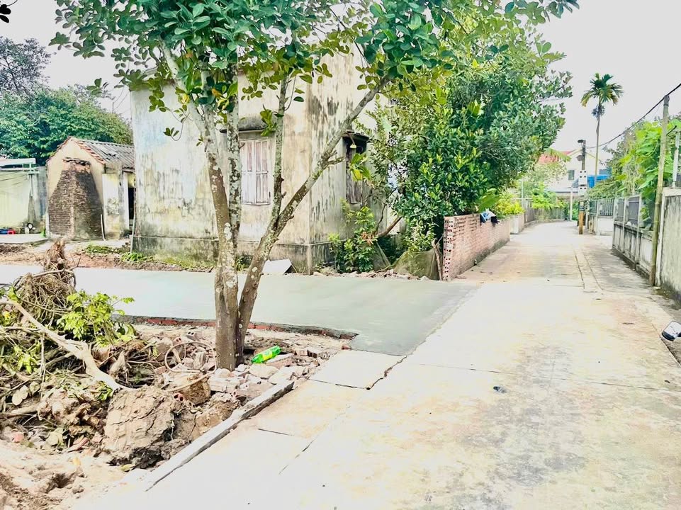 Đất nền 50m² Thôn Kiều Hạ, An Dương, Hải Phòng - Ô tô tránh, giá tốt