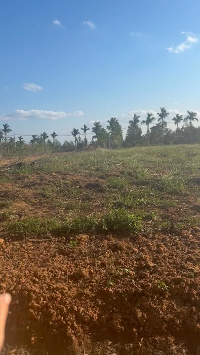 Đất nền Khối 5 Ea Knốp 186m² - Sổ đỏ chính chủ, giá tốt!