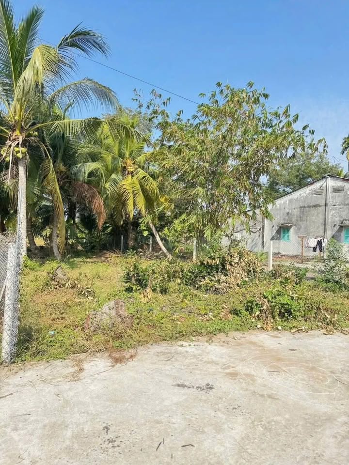 Đất nền Châu Thành Bến Tre 450m² giá 1.35 tỷ - Đường to ô tô vào tận nơi