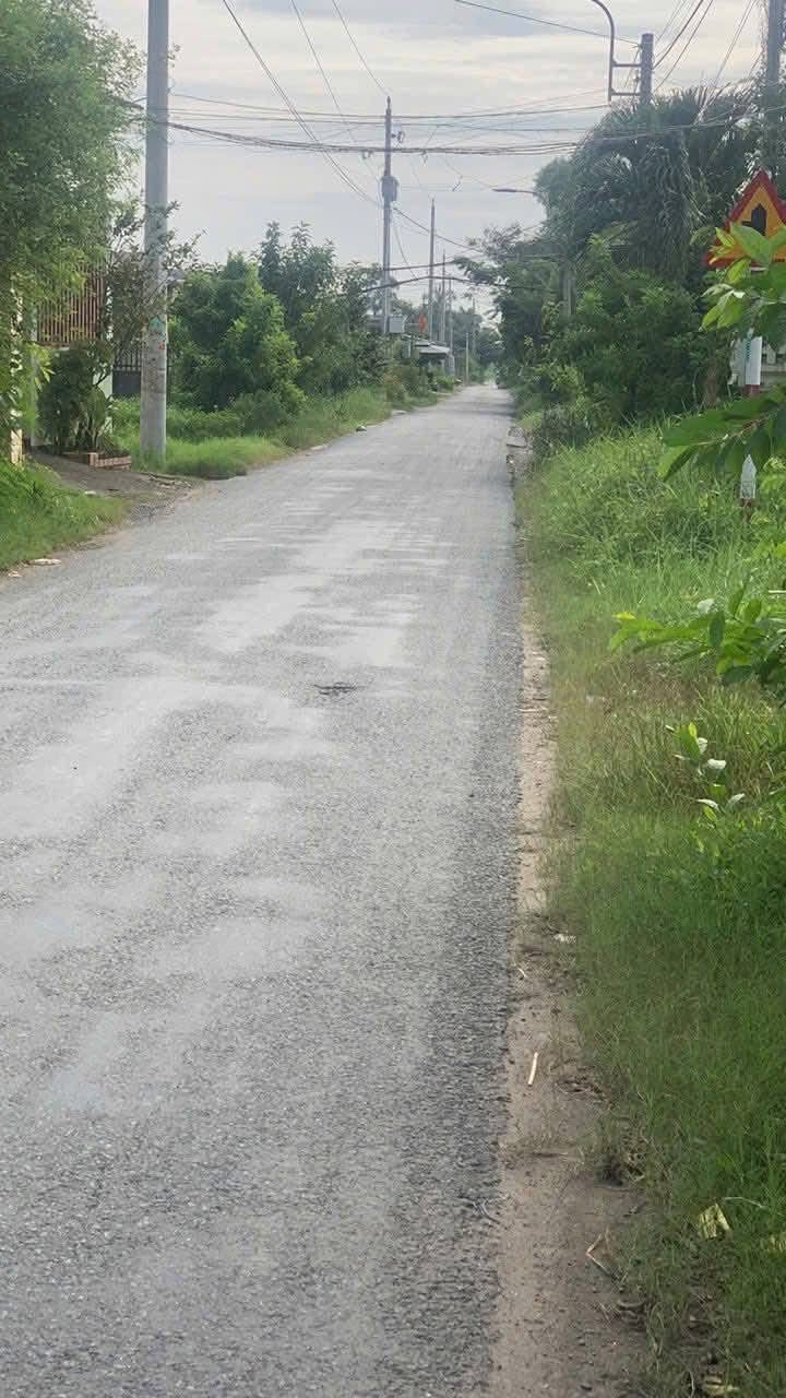 Bán gấp đất lúa 523m² mặt tiền đường nhựa Mỹ Lộc, Cần Giuộc - Giá chỉ 1.25 tỷ