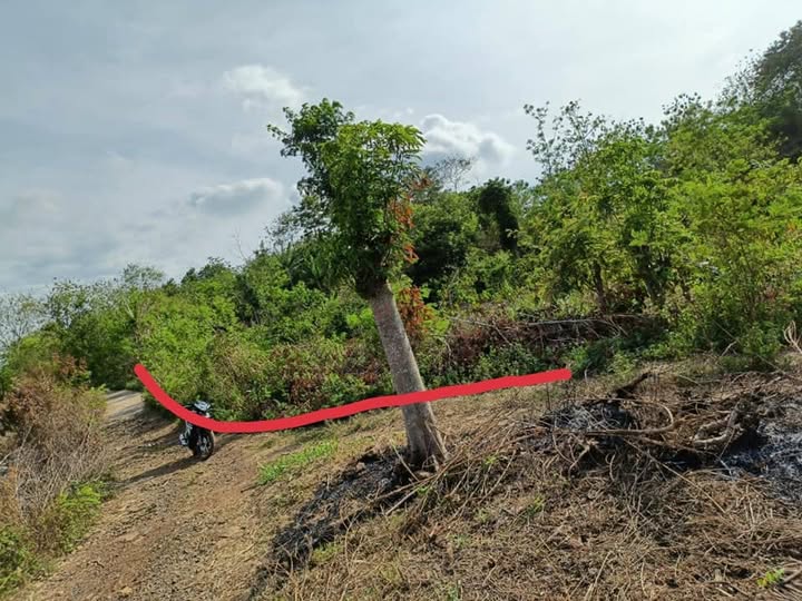 Đất vườn Ea Blang Buôn Hồ 2200m² 219tr - Nghỉ dưỡng lý tưởng!