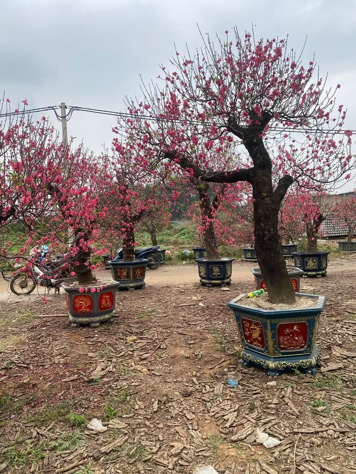 Nhà riêng Ngõ Trường Chinh Thanh Xuân 45m² 15 tỷ - Ô tô vào tận nhà!